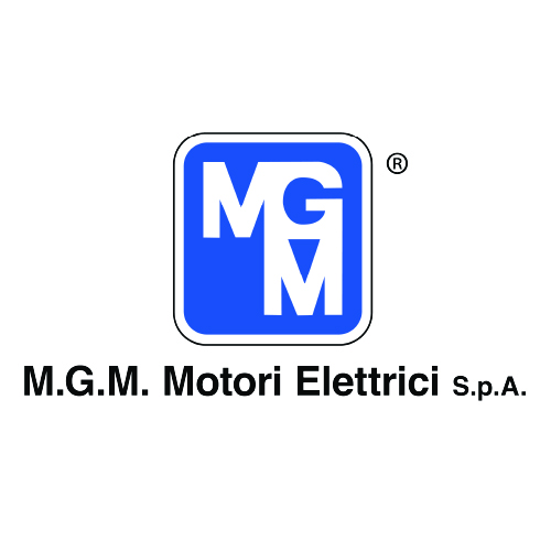 mgm-motori-elettrici-spa-viet-nam-1.png